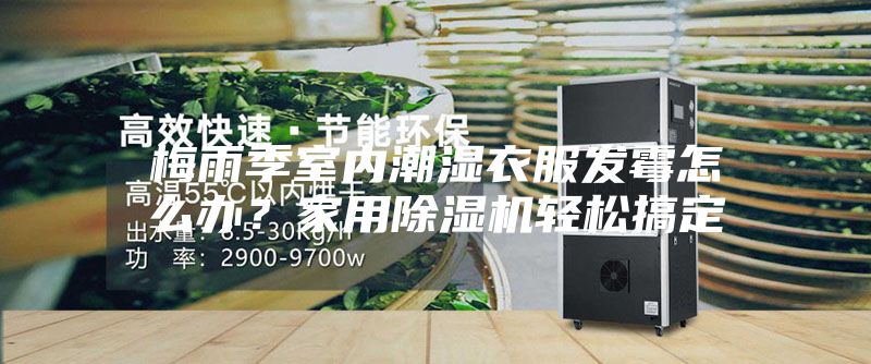 梅雨季室内潮湿衣服发霉怎么办？家用除湿机轻松搞定