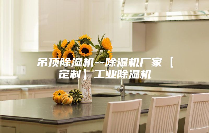 吊顶除湿机--除湿机厂家【定制】工业除湿机