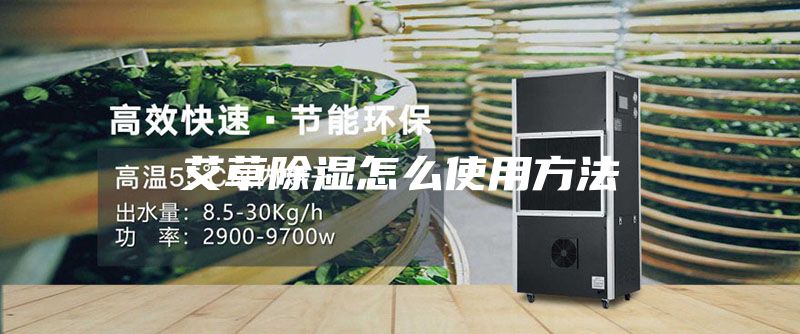 艾草除湿怎么使用方法