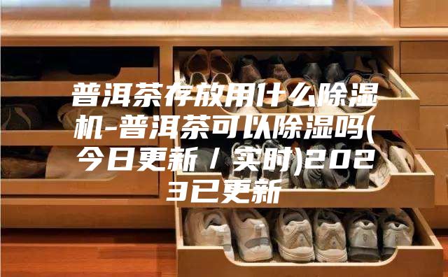 普洱茶存放用什么除湿机-普洱茶可以除湿吗(今日更新／实时)2023已更新
