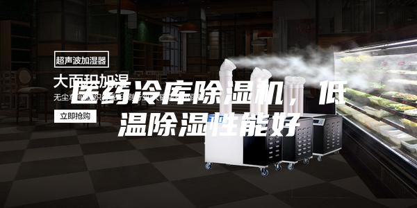 医药冷库除湿机，低温除湿性能好