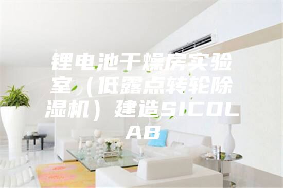 锂电池干燥房实验室（低露点转轮除湿机）建造SICOLAB