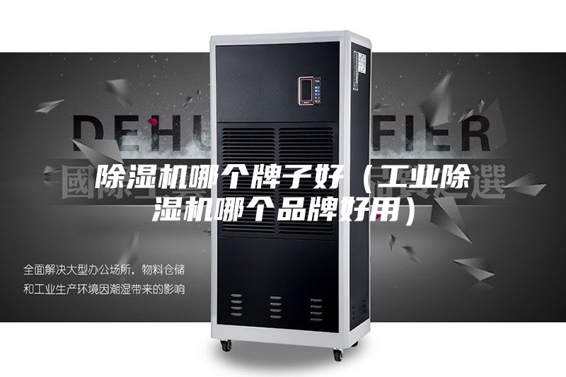 除湿机哪个牌子好（工业除湿机哪个品牌好用）