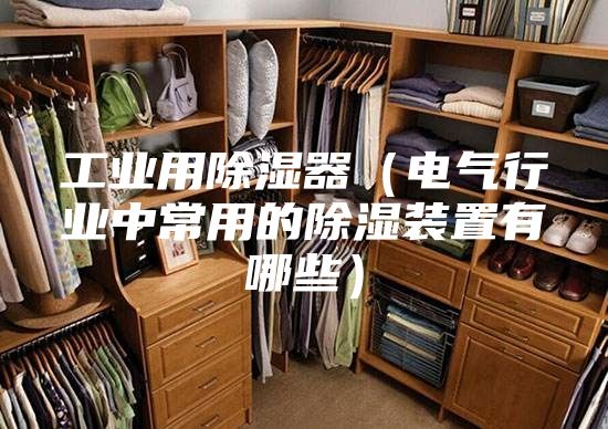工业用除湿器（电气行业中常用的除湿装置有哪些）