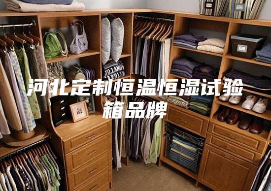 河北定制恒温恒湿试验箱品牌