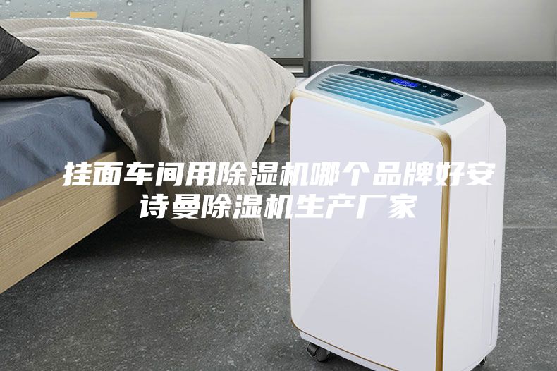 挂面车间用除湿机哪个品牌好安诗曼除湿机生产厂家