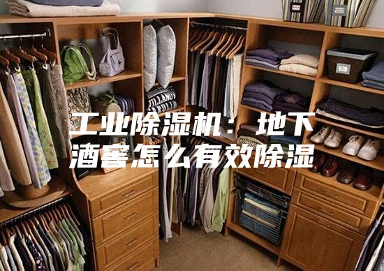 工业除湿机：地下酒窖怎么有效除湿