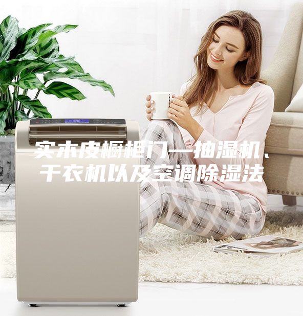 实木皮橱柜门—抽湿机、干衣机以及空调除湿法
