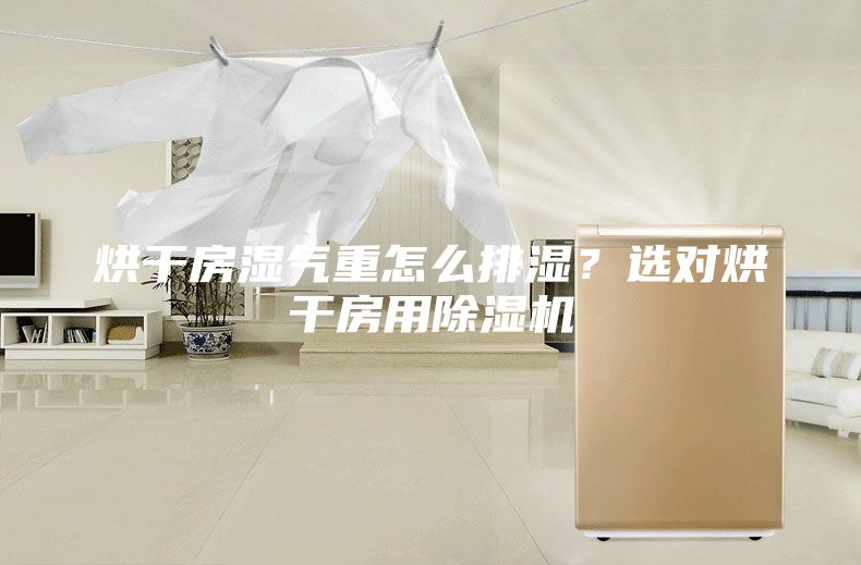 烘干房湿气重怎么排湿？选对烘干房用除湿机
