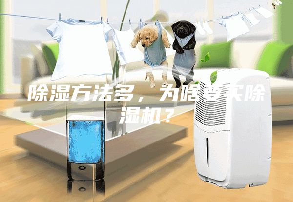 除湿方法多，为啥要买除湿机？