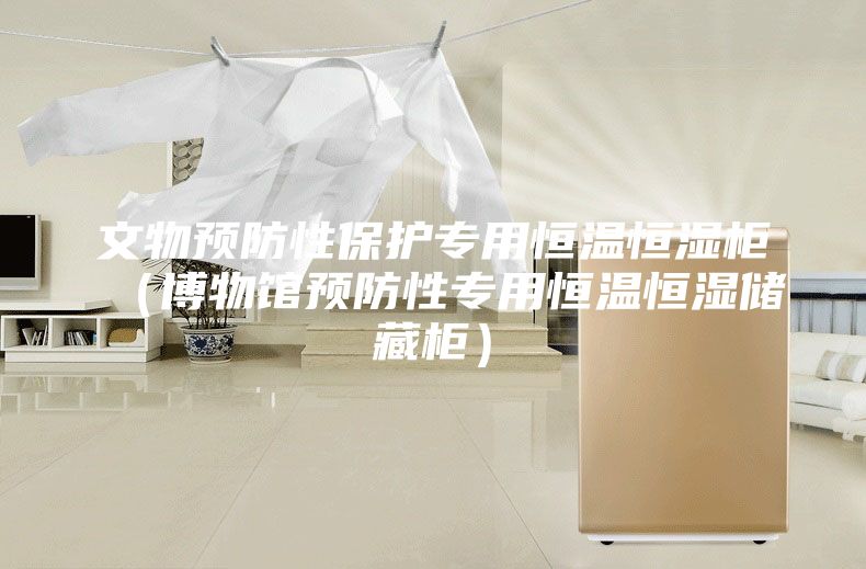 文物预防性保护专用恒温恒湿柜（博物馆预防性专用恒温恒湿储藏柜）