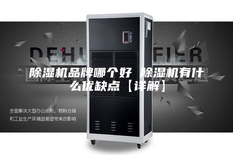 除湿机品牌哪个好 除湿机有什么优缺点【详解】