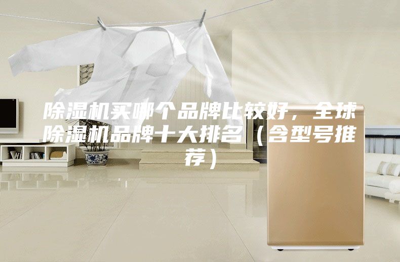 除湿机买哪个品牌比较好，全球除湿机品牌十大排名（含型号推荐）