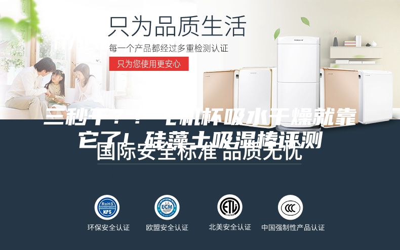 三秒干？! 飞机杯吸水干燥就靠它了! 硅藻土吸湿棒评测