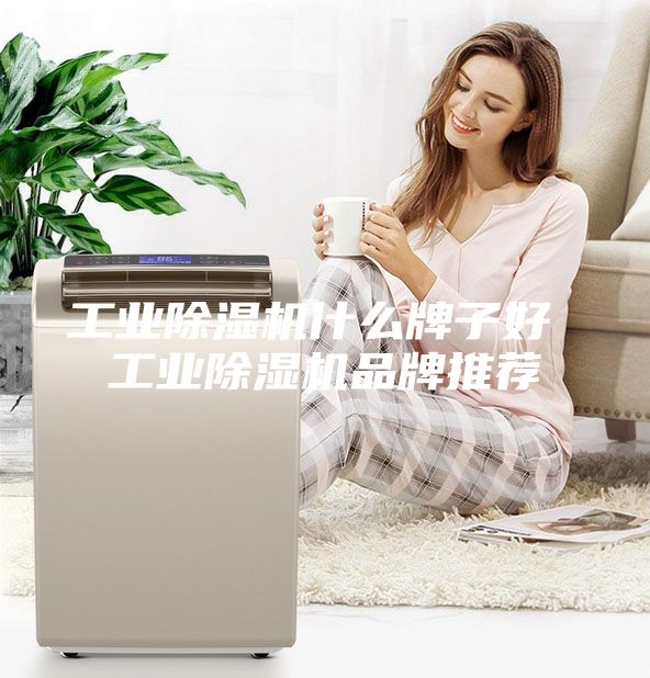 工业除湿机什么牌子好 工业除湿机品牌推荐