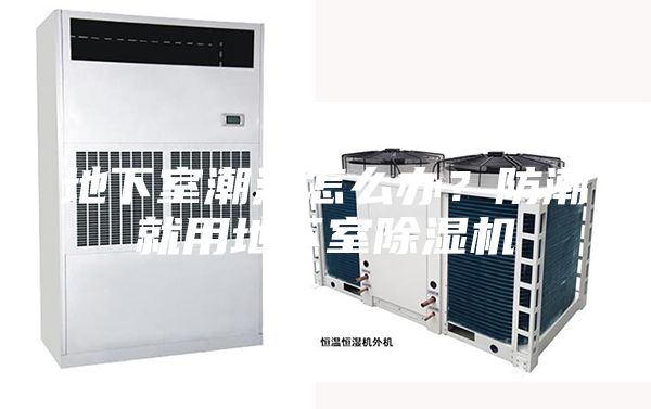 地下室潮湿怎么办？防潮就用地下室除湿机