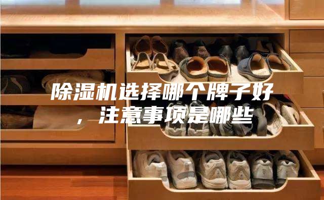 除湿机选择哪个牌子好，注意事项是哪些