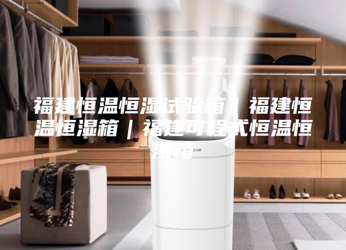 福建恒温恒湿试验箱｜福建恒温恒湿箱｜福建可程式恒温恒湿箱