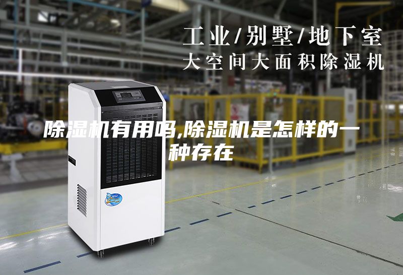 除湿机有用吗,除湿机是怎样的一种存在