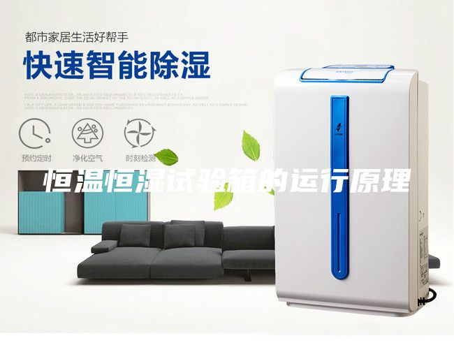 恒温恒湿试验箱的运行原理