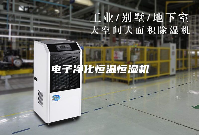 电子净化恒温恒湿机