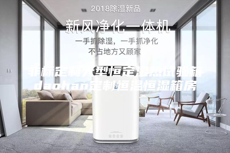 非标定制大型恒定湿热试验箱daohan定制恒温恒湿箱房