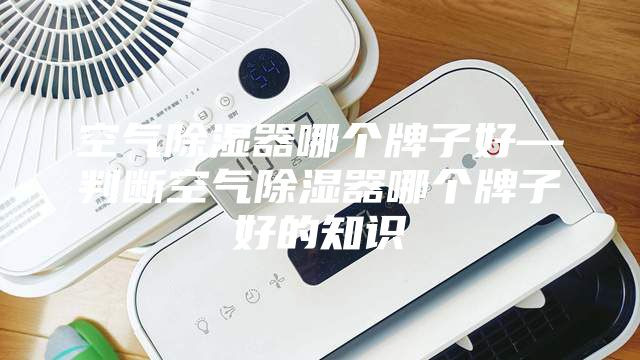 空气除湿器哪个牌子好—判断空气除湿器哪个牌子好的知识