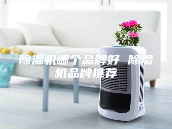除湿机哪个品牌好 除湿机品牌推荐