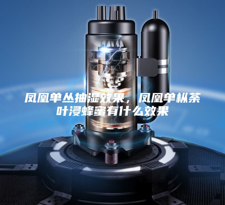 凤凰单丛抽湿效果，凤凰单枞荼叶浸蜂蜜有什么效果
