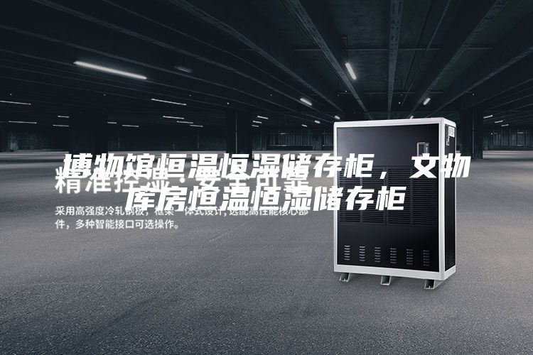 博物馆恒温恒湿储存柜，文物库房恒温恒湿储存柜