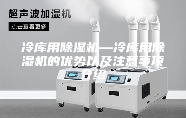 冷库用除湿机—冷库用除湿机的优势以及注意事项介绍