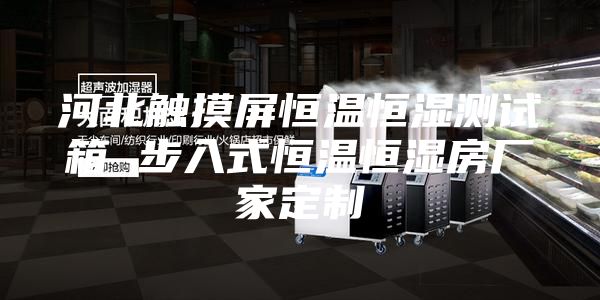 河北触摸屏恒温恒湿测试箱 步入式恒温恒湿房厂家定制