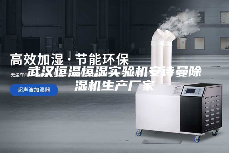 武汉恒温恒湿实验机安诗曼除湿机生产厂家