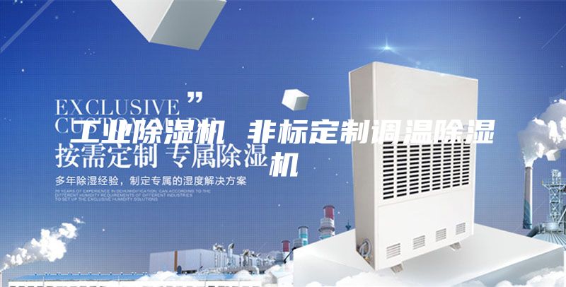 工业除湿机 非标定制调温除湿机