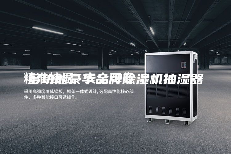 多功能豪华品牌除湿机抽湿器