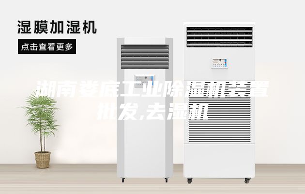 湖南娄底工业除湿机装置批发,去湿机