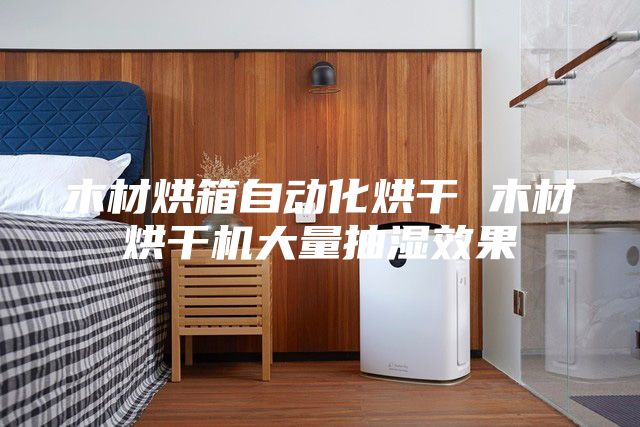 木材烘箱自动化烘干 木材烘干机大量抽湿效果