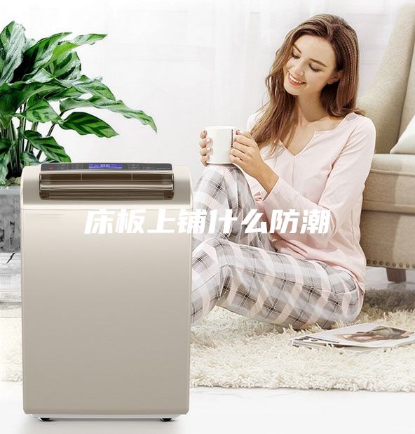 床板上铺什么防潮