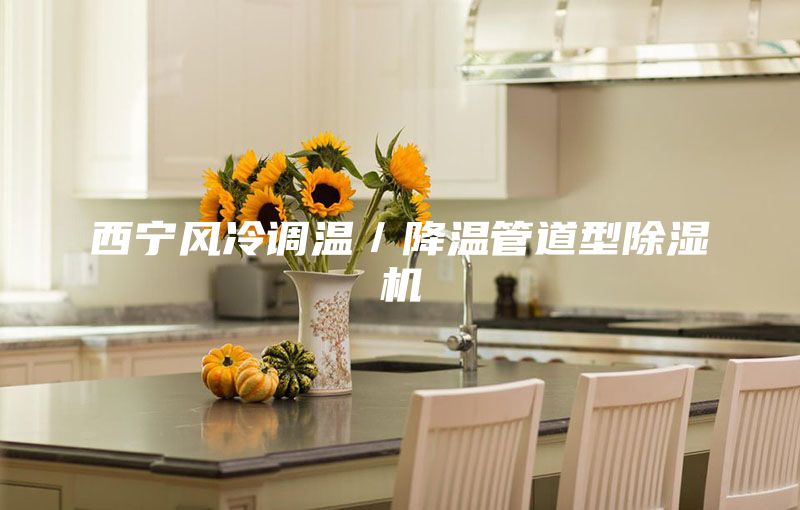 西宁风冷调温／降温管道型除湿机
