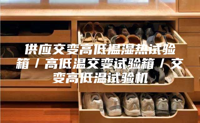 供应交变高低温湿热试验箱／高低温交变试验箱／交变高低温试验机