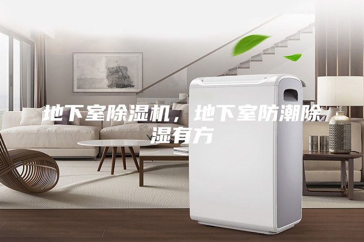 地下室除湿机,地下室防潮除湿有方