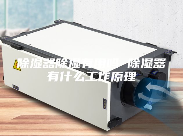 除湿器除湿有用吗 除湿器有什么工作原理