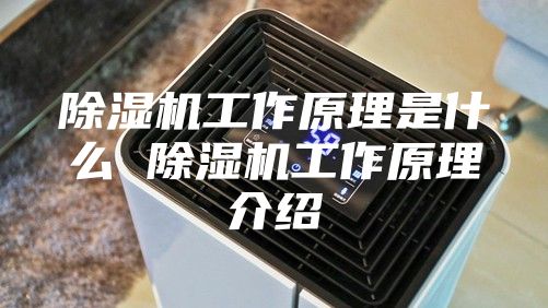 除湿机工作原理是什么 除湿机工作原理介绍