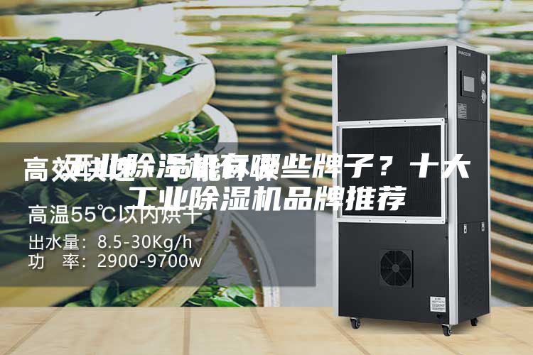 工业除湿机有哪些牌子？十大工业除湿机品牌推荐