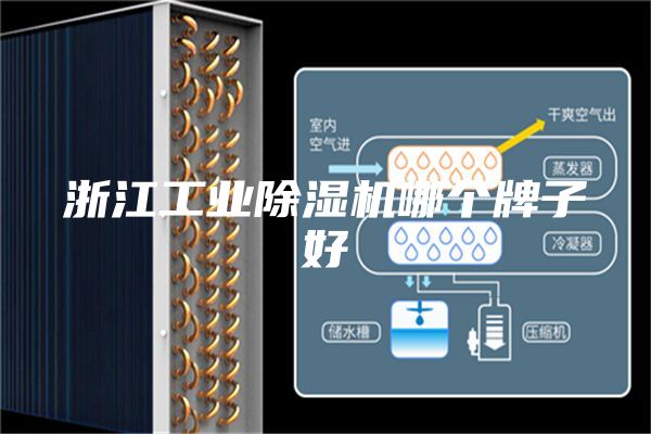 浙江工业除湿机哪个牌子好