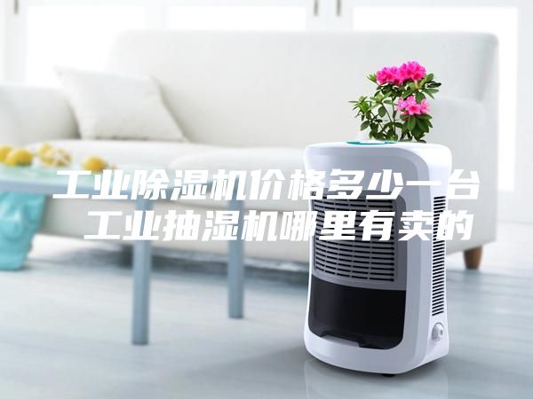 工业除湿机价格多少一台 工业抽湿机哪里有卖的