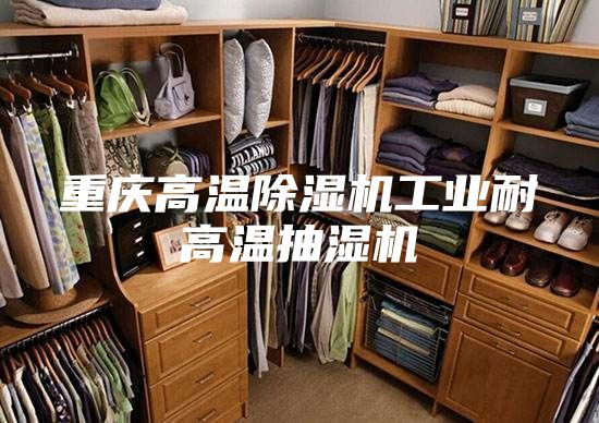 重庆高温除湿机工业耐高温抽湿机