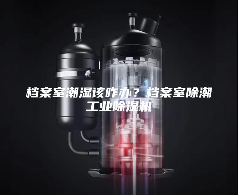 档案室潮湿该咋办？档案室除潮工业除湿机