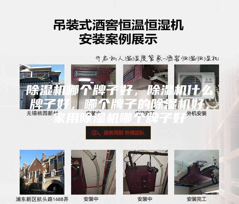 除湿机哪个牌子好，除湿机什么牌子好，哪个牌子的除湿机好，家用除湿机哪个牌子好