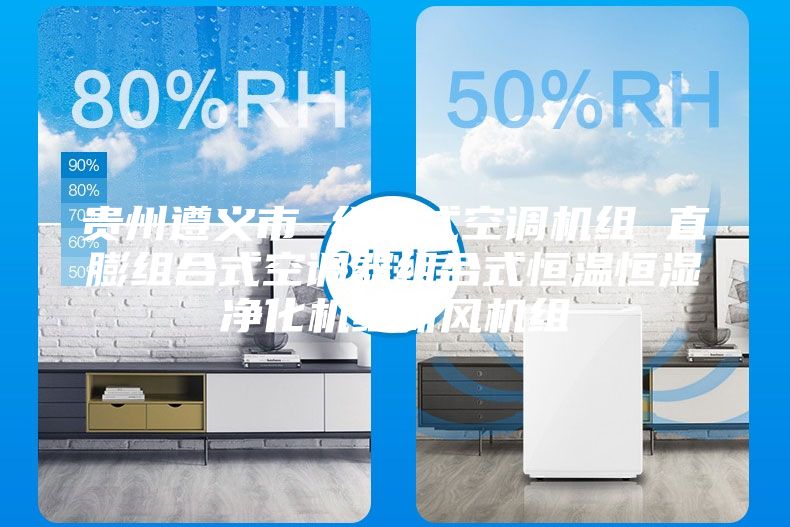 贵州遵义市 组合式空调机组 直膨组合式空调器组合式恒温恒湿净化机组新风机组